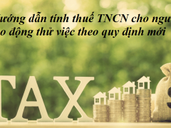 Hướng dẫn tình thuế TNCN cho lao động thử việc theo quy định mới